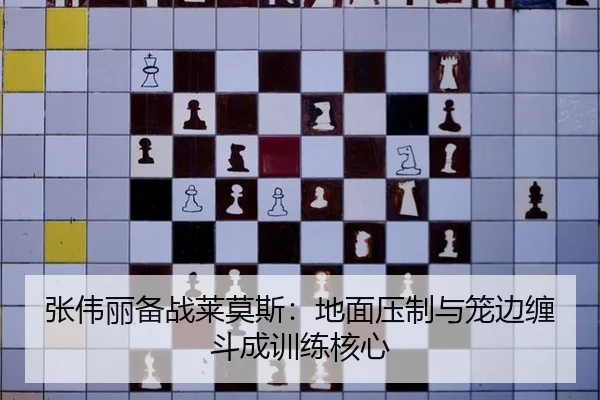 张伟丽备战莱莫斯：地面压制与笼边缠斗成训练核心
