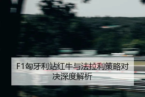 xiong-ya-li-zhan-hong-niu-yu-fa-la-li-ce-lve-dui-jue-shen-du-jie-xi-2-561.jpg