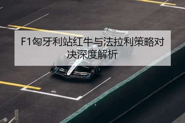 xiong-ya-li-zhan-hong-niu-yu-fa-la-li-ce-lve-dui-jue-shen-du-jie-xi-3-496.jpg